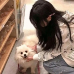 九阳神功起源九游版下载